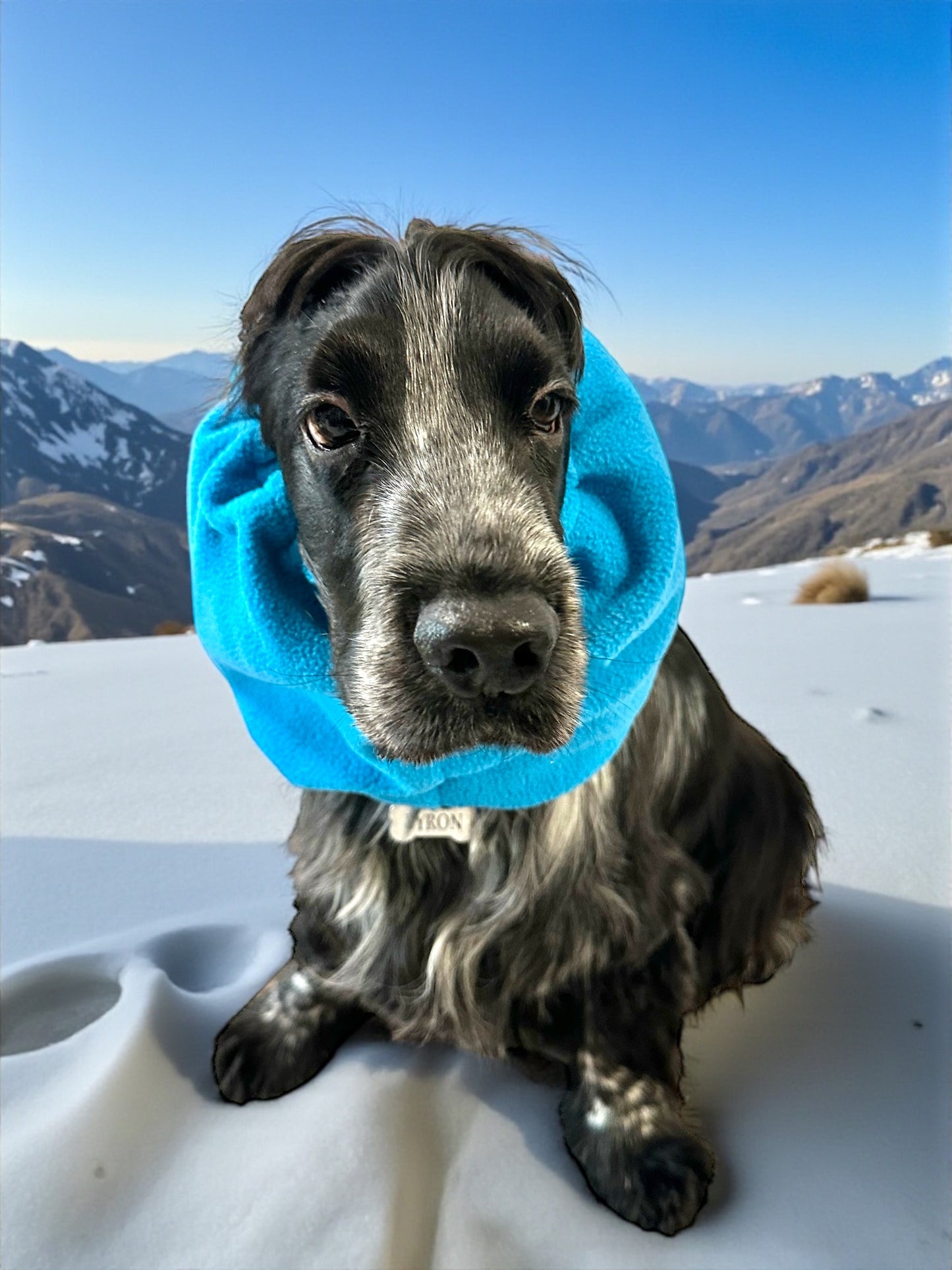 Snood cane in Pile personalizzabile /copri orecchie caldo invernale color azzurro.