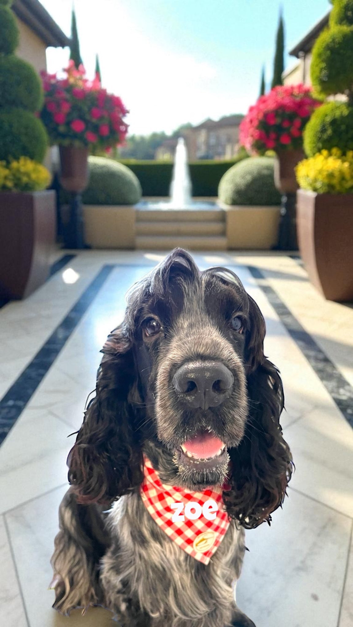 Bandana per Cani Sartoriale Rosso e bianco a Quadretti in Cotone