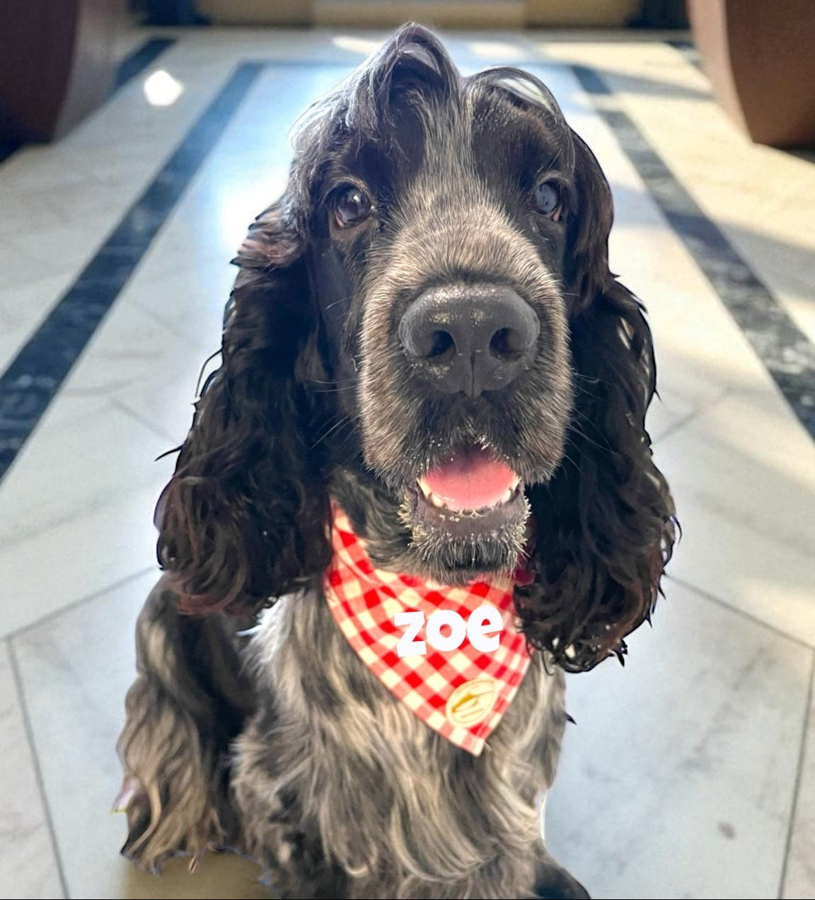 Bandana per Cani Sartoriale Rosso e bianco a Quadretti in Cotone