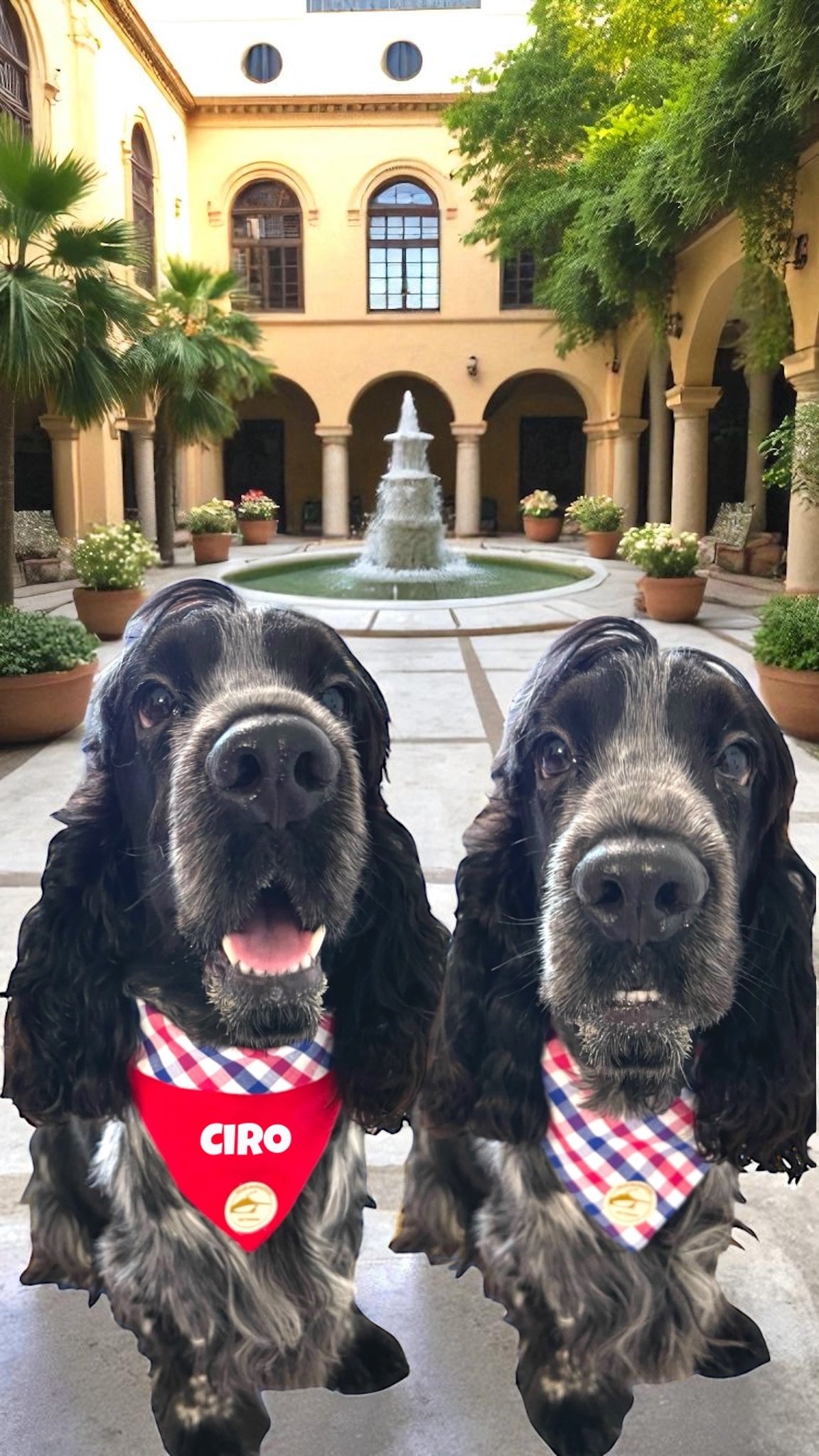Bandana per Cani rossa a Quadretti bianco, rosso e blu Double-Face e Personalizzata