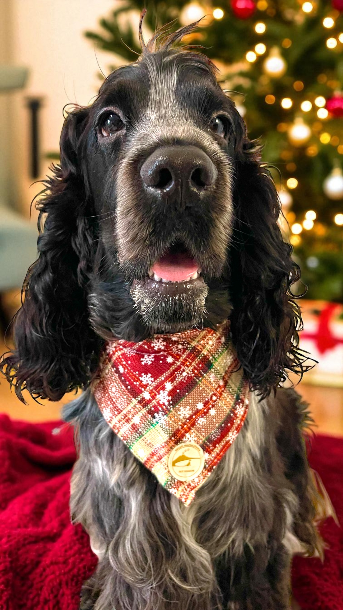 Bandana natalizia sartoriale per cani stile scozzese bordeaux e beige con fiocchi di neve