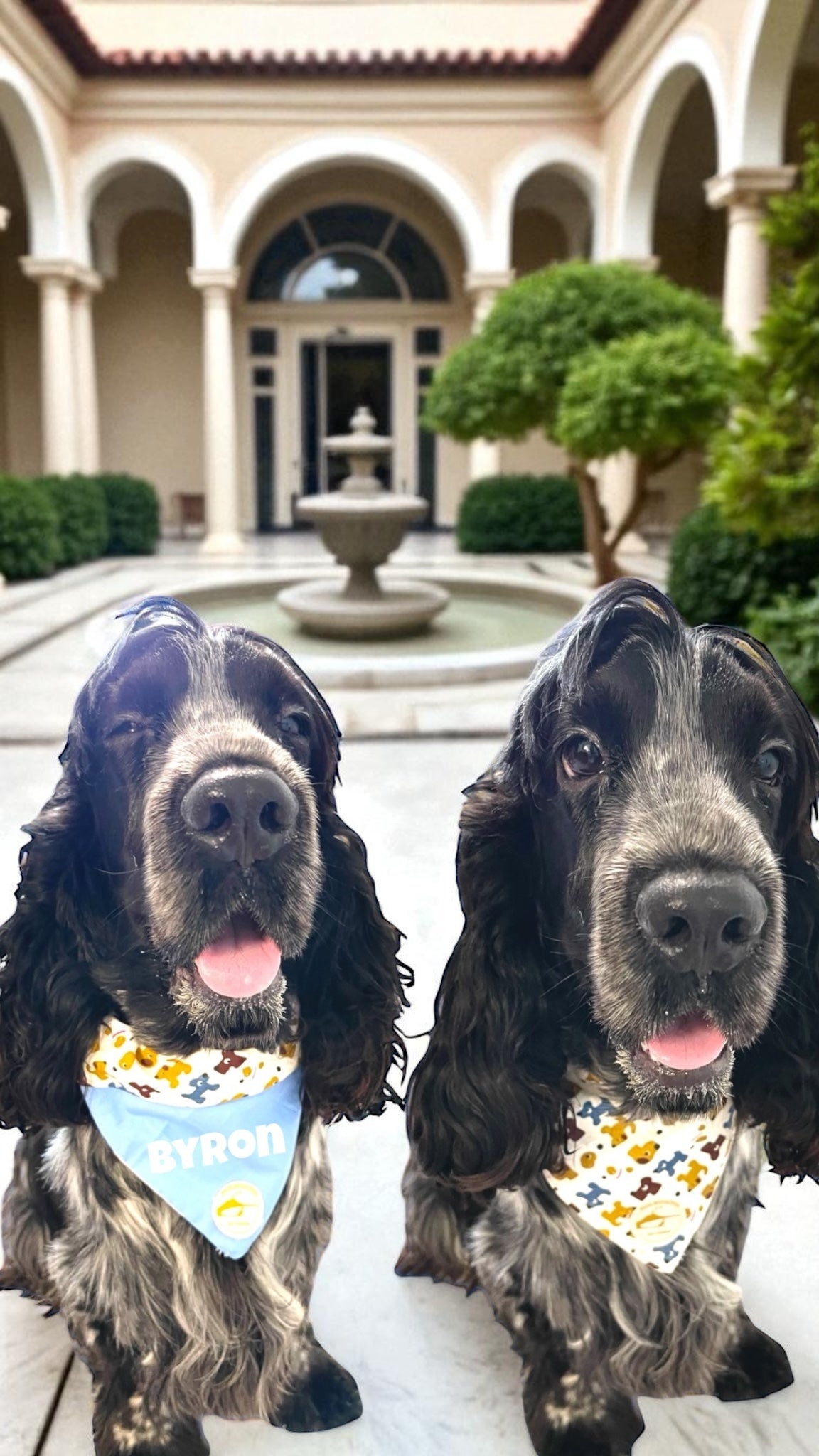 Bandana per Cani azzurra con fantasia di cagnolini multicolor, Double-Face e Personalizzata