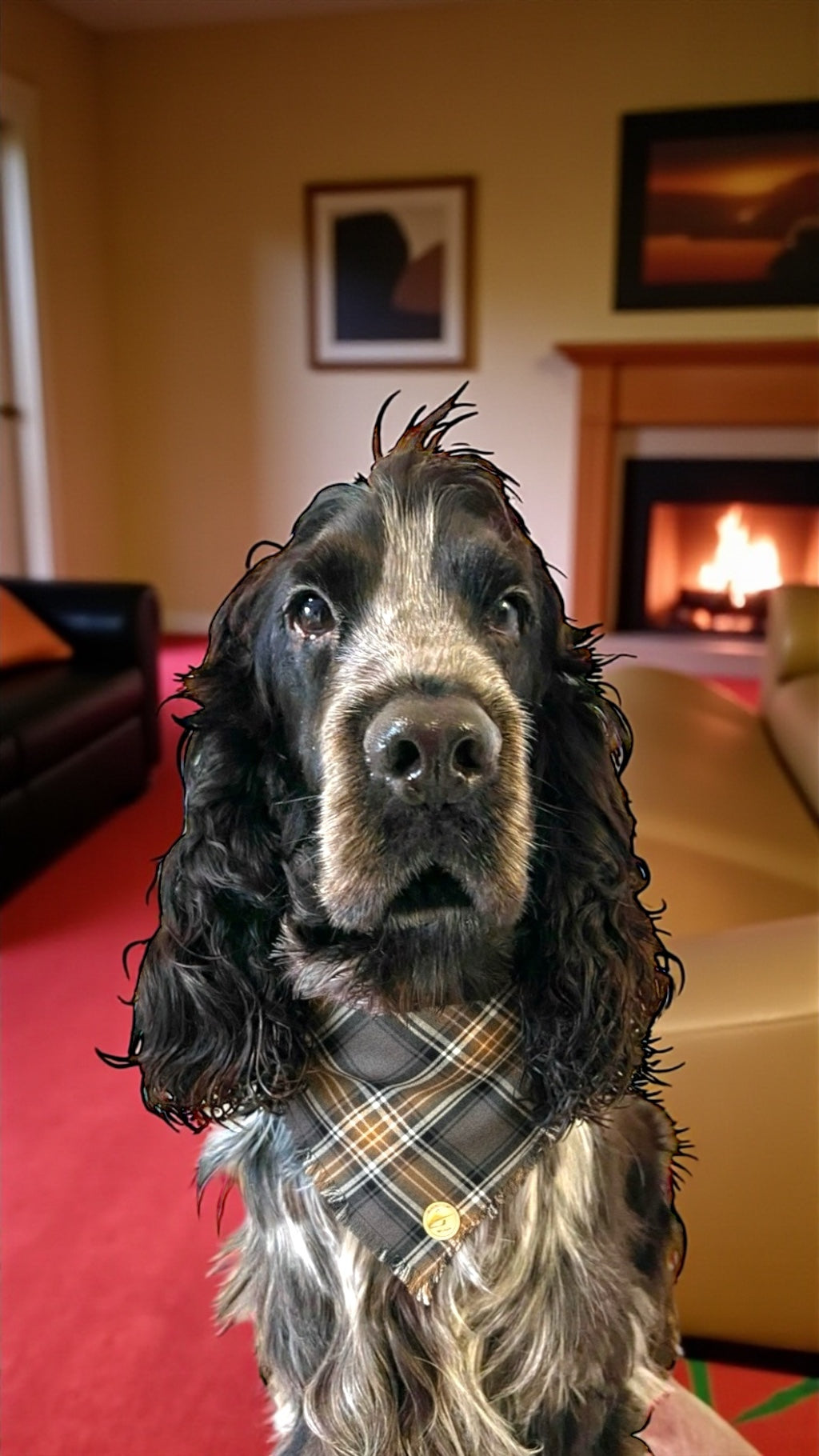 Bandana tartan per cani invernale morbida e calda - sfrangiata - (Grigio-bianco-cammello)