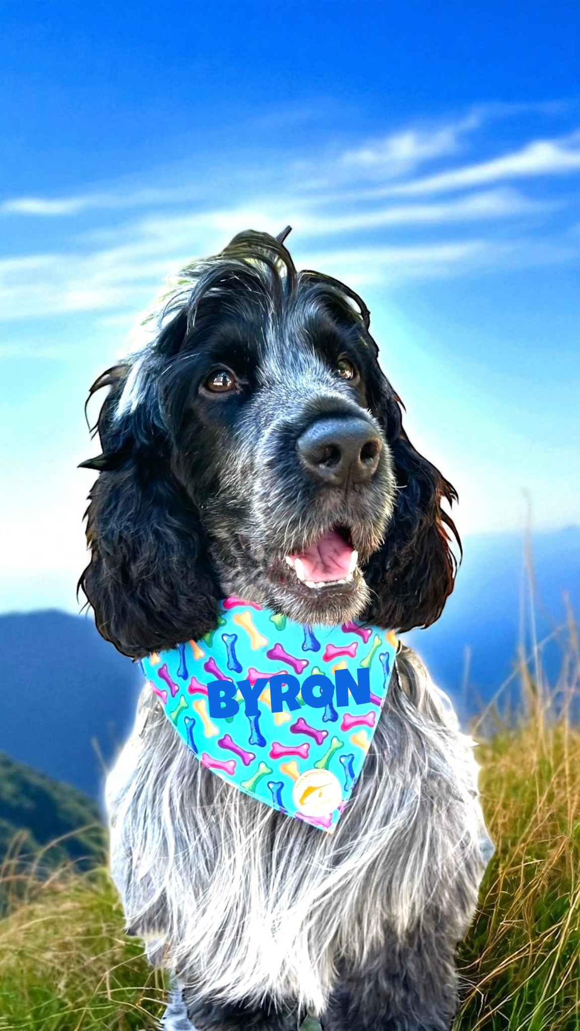 Bandana Cane Azzurra con Collare e Fantasia Ossi Multicolor Personalizzabile