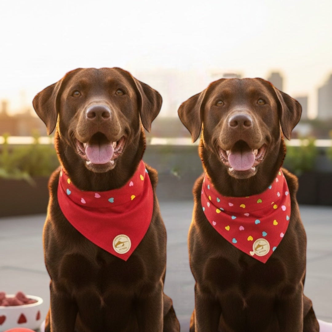 Bandana sartoriale double-face per cani "Amore incondizionato"