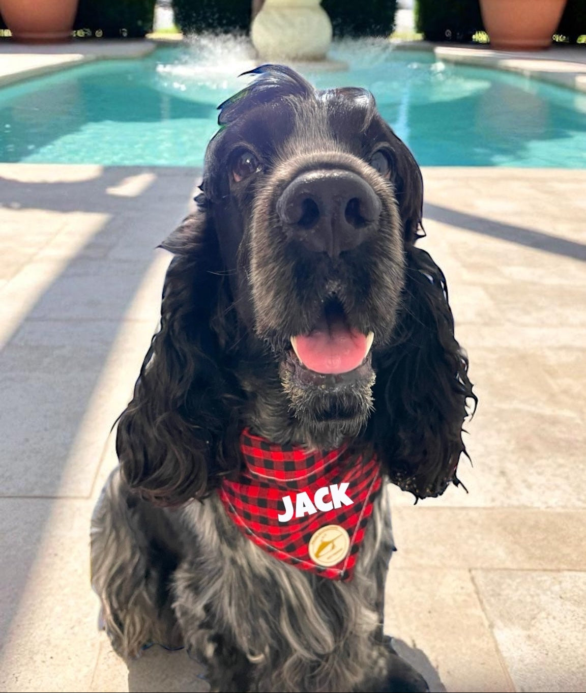 Bandana per Cani Sartoriale nero e rosso a quadretti in Cotone