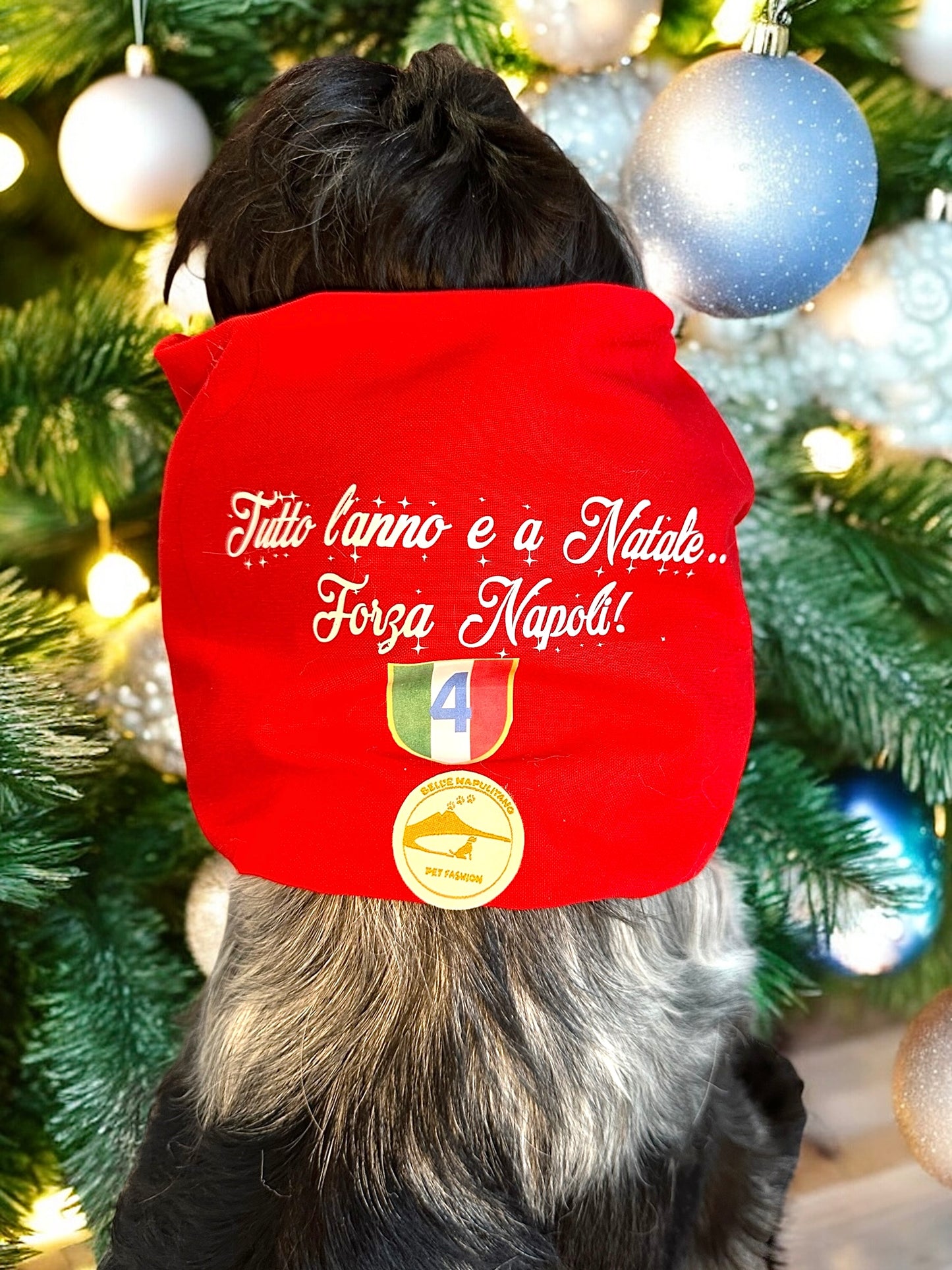 Snood Natalizio per cani - Calcio Napoli - “Tutto l’anno e a Natale.. Forza Napoli!”