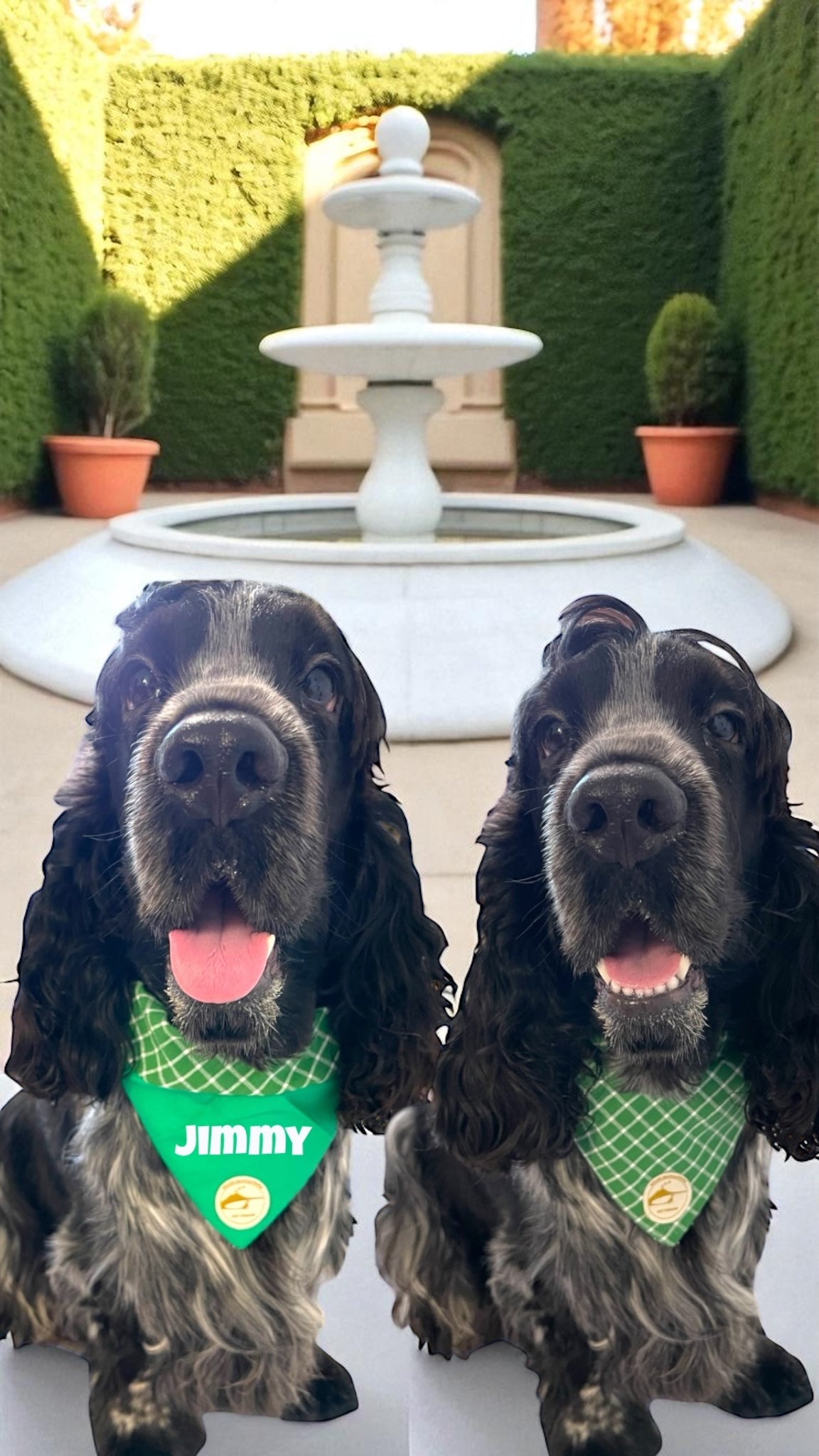 Bandana per Cani verde a Quadretti Double-Face e Personalizzata
