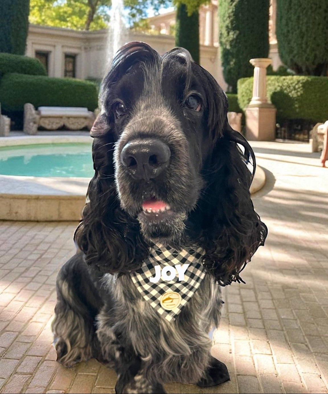 Bandana per Cani Sartoriale nero e bianco a Quadretti in Cotone