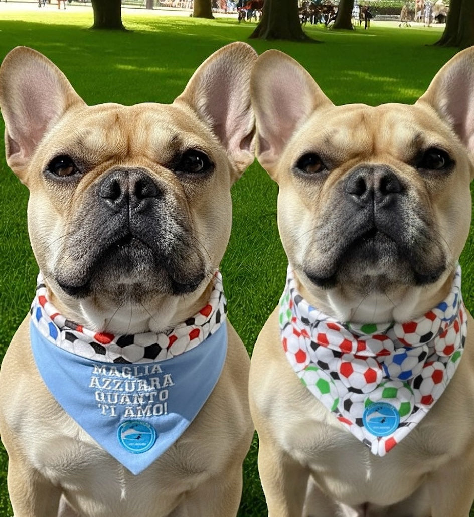 Bandana sartoriale double-face a collare per cani con scritta ricamata “Maglia azzurra quanto ti amo!”