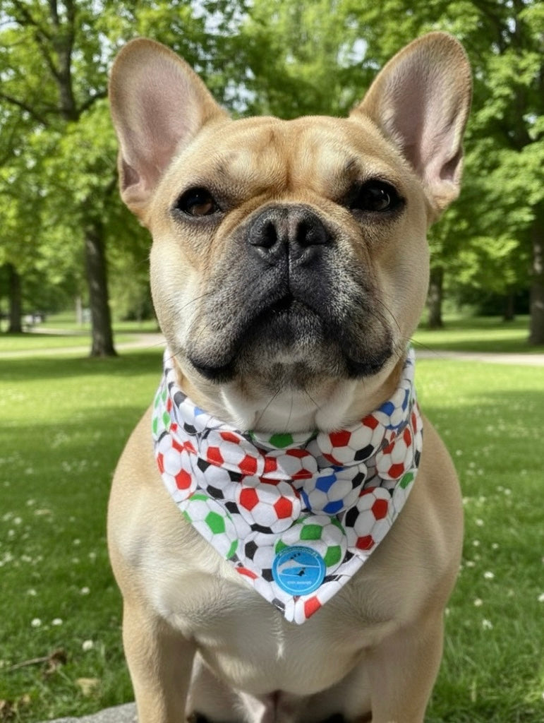 Bandana sartoriale double-face con elastico per cani con scritta ricamata “Maglia azzurra quanto ti amo!”