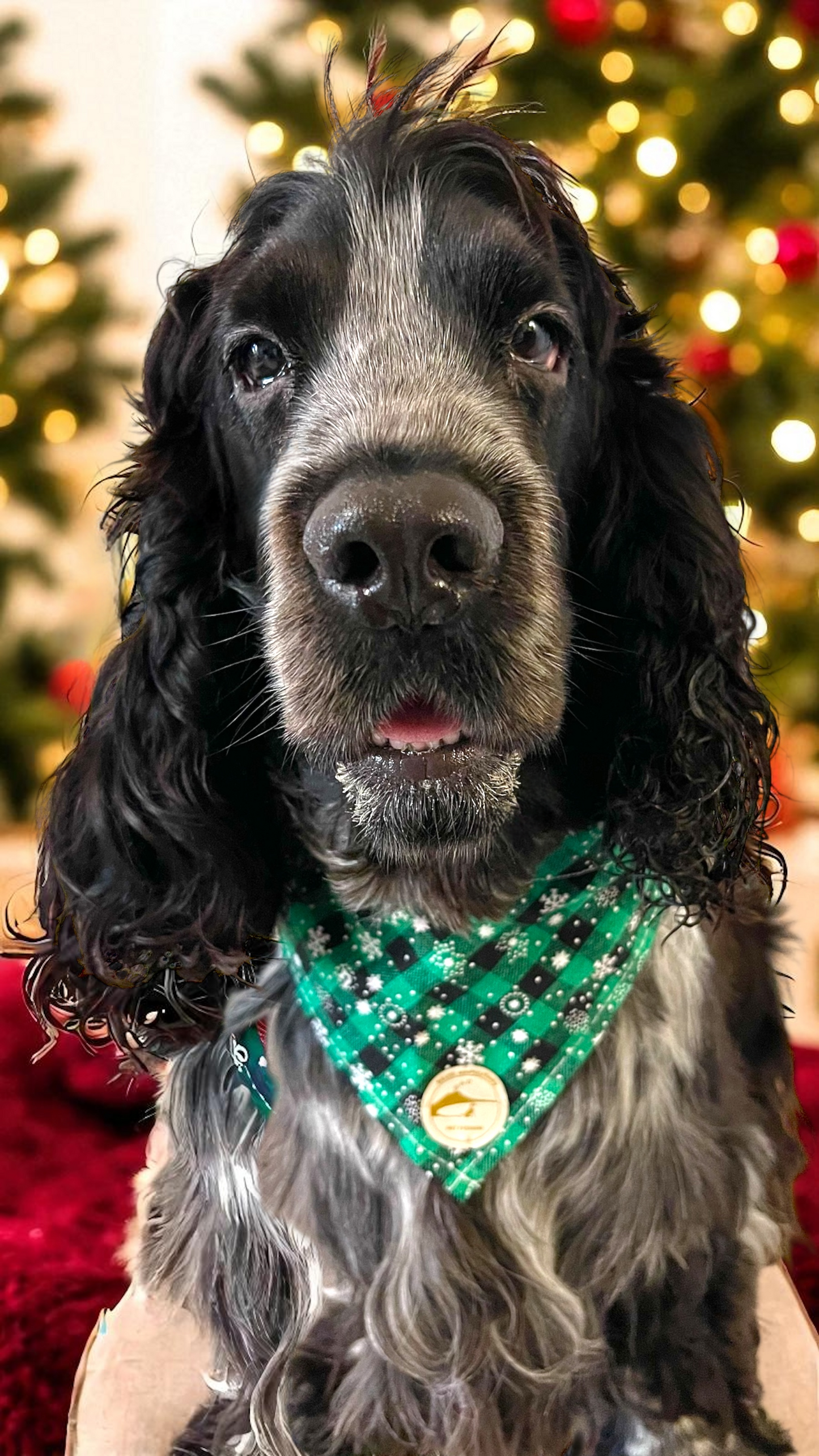 Bandana natalizia sartoriale per cani a quadretti verde e nero con fiocchi di neve