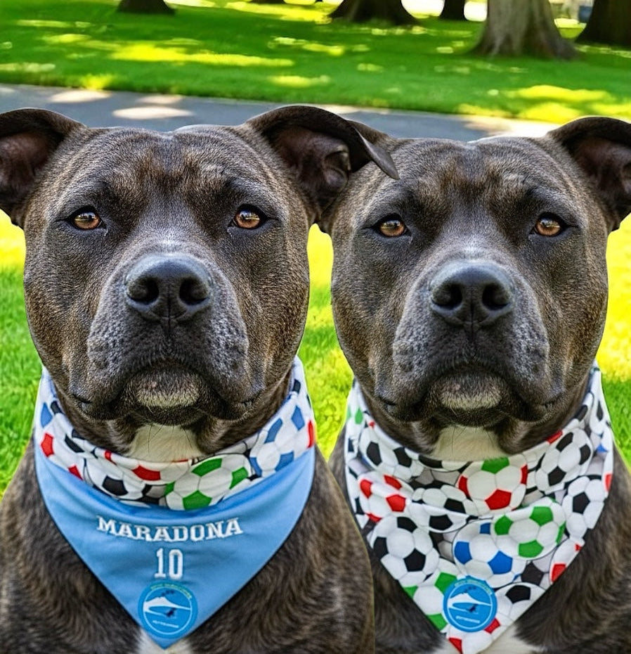 Bandana sartoriale double-face a collare per cani con scritta ricamata “Maradona 10”
