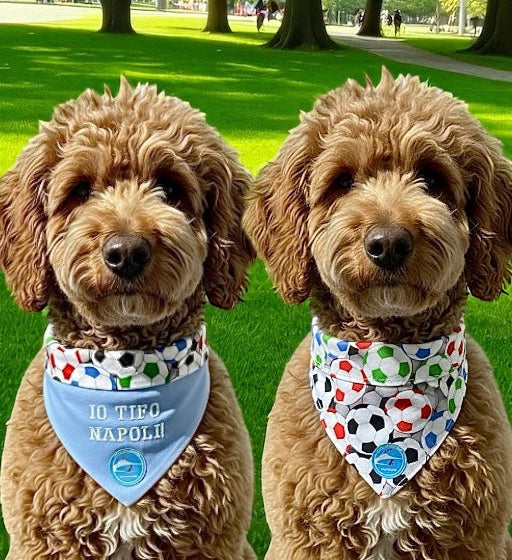 Bandana sartoriale double-face a collare per cani con scritta ricamata “Io tifo Napoli”