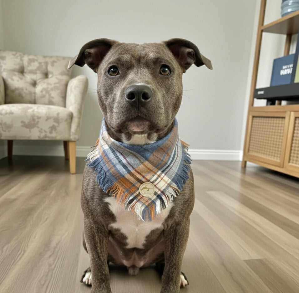 Bandana tartan per cani invernale morbida e calda sfrangiata -(blu, cammello e bianco)