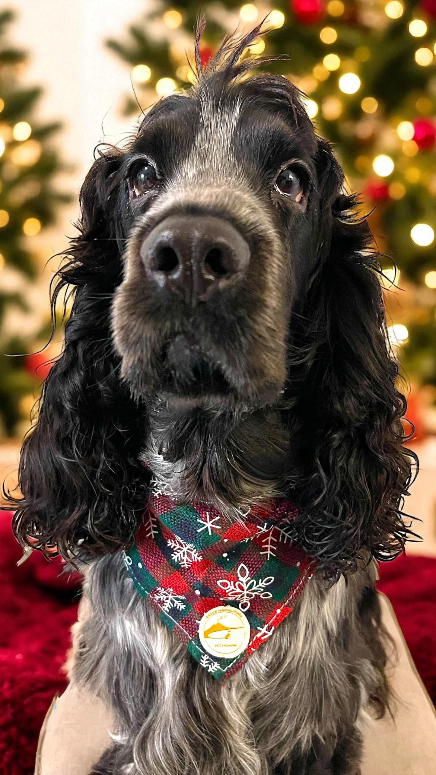 Bandana natalizia sartoriale per cani stile scozzese verde e rosso con fiocchi di neve grandi