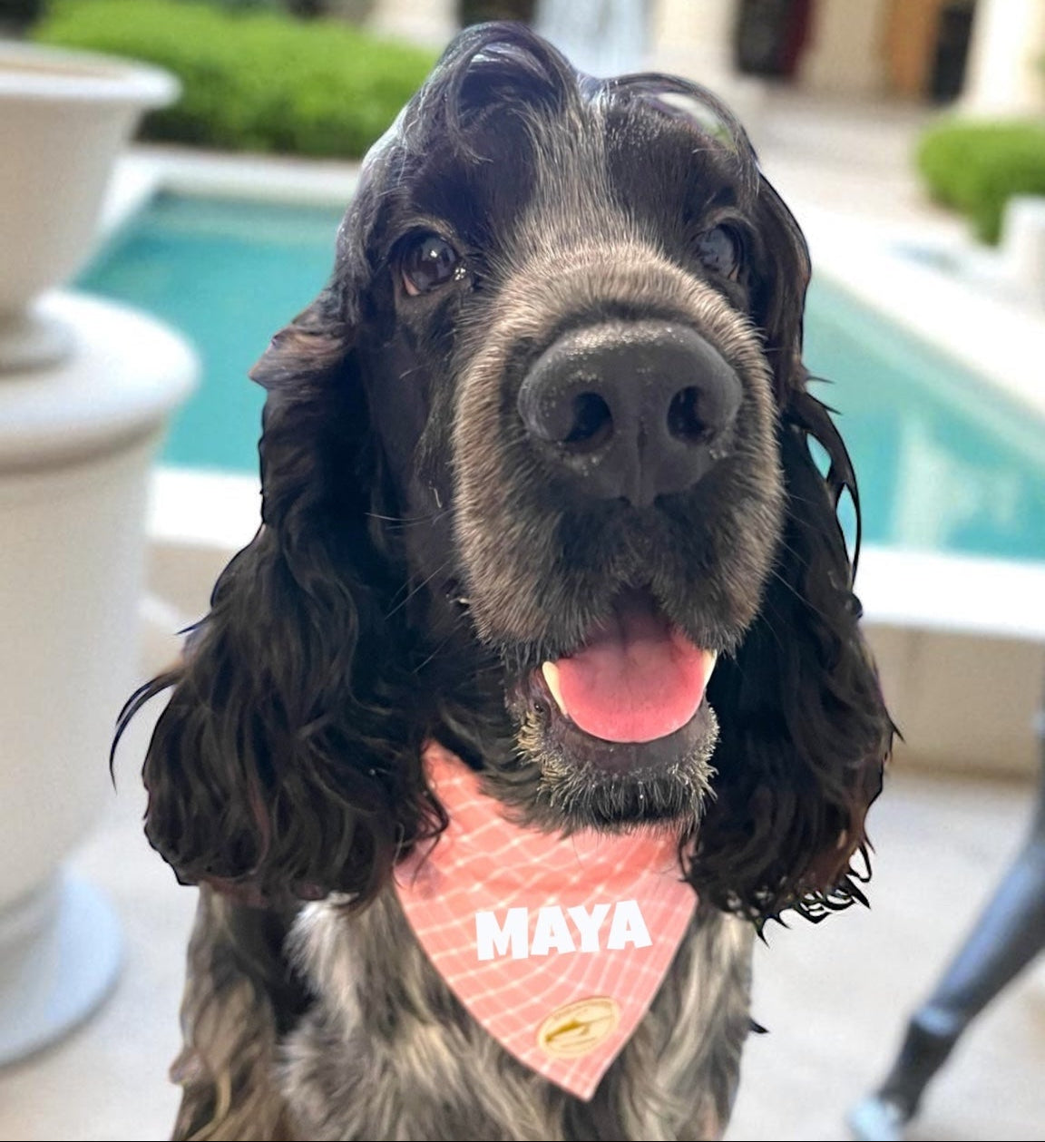 Bandana per Cani Sartoriale Rosa a Quadretti in Cotone