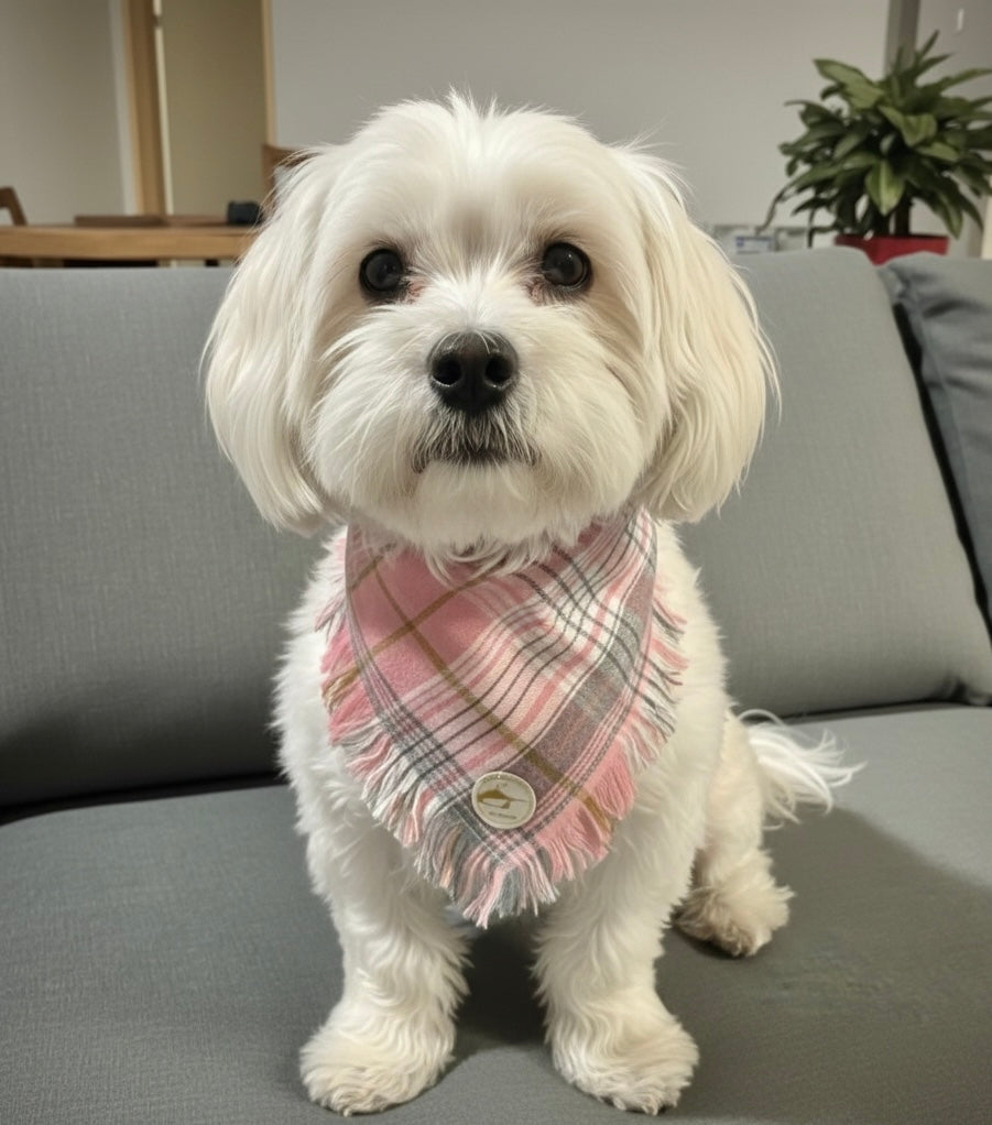 Bandana Cane tartan Invernale Morbida e Calda - Sfrangiata (Rosa/Grigio/Beige)