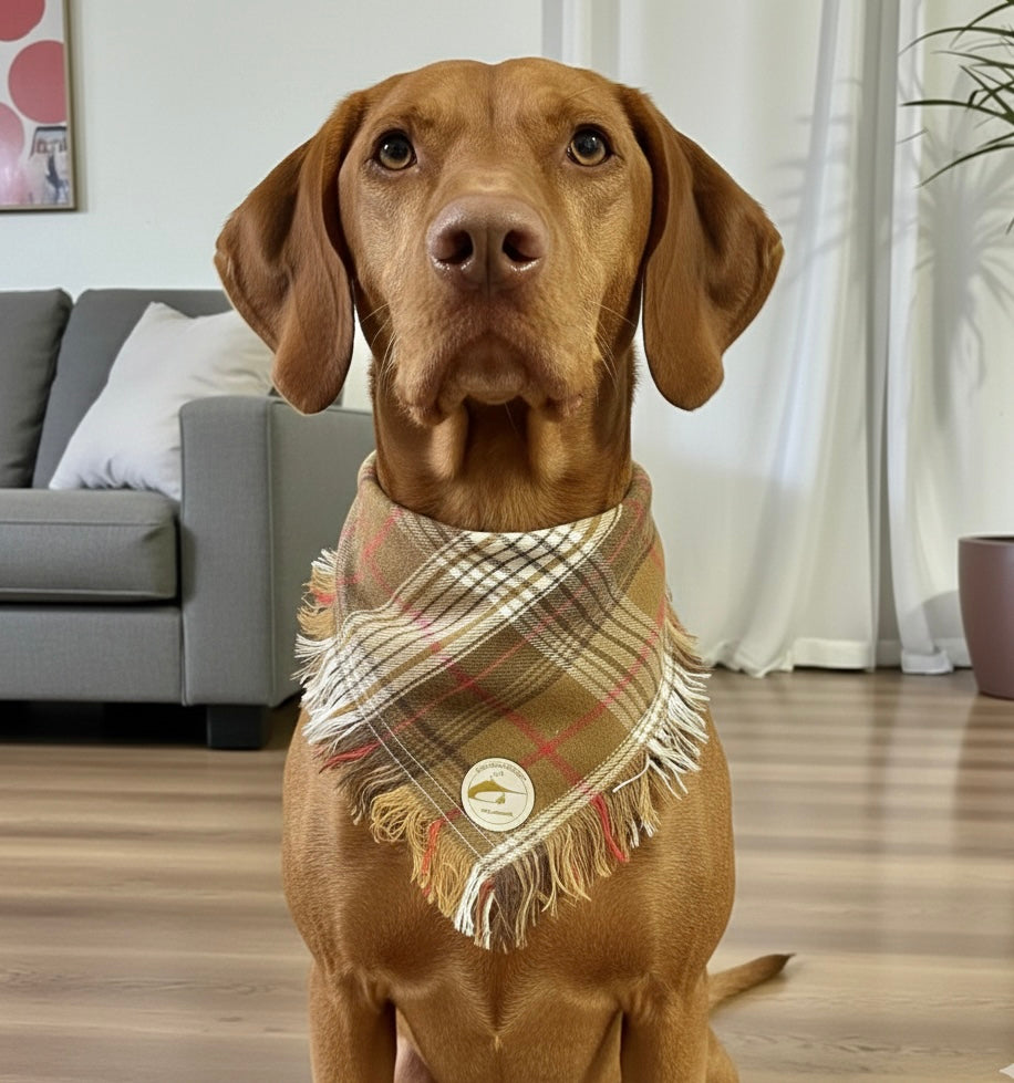 Bandana per cani invernale morbida e calda sfrangiata - (cammello-bianco-marrone con righe rosse)