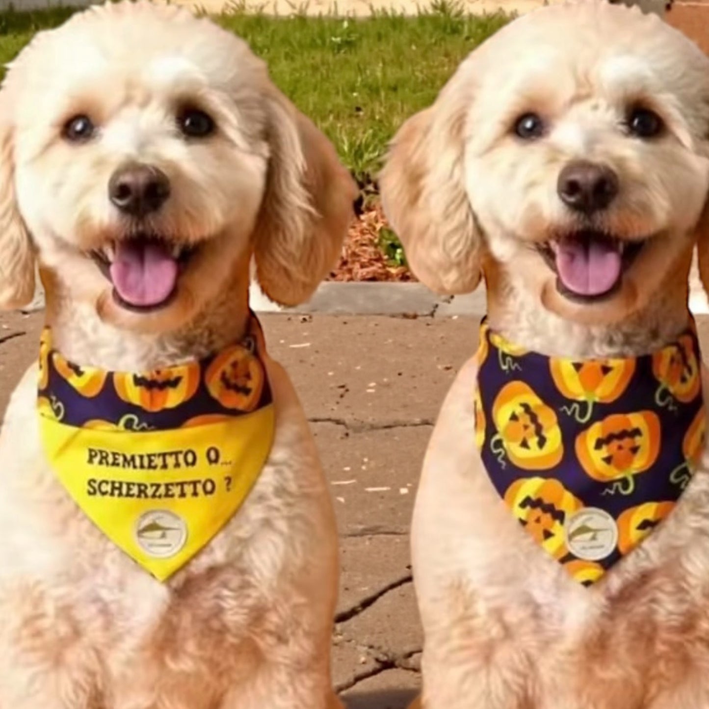 Bandana halloween double-face per cani