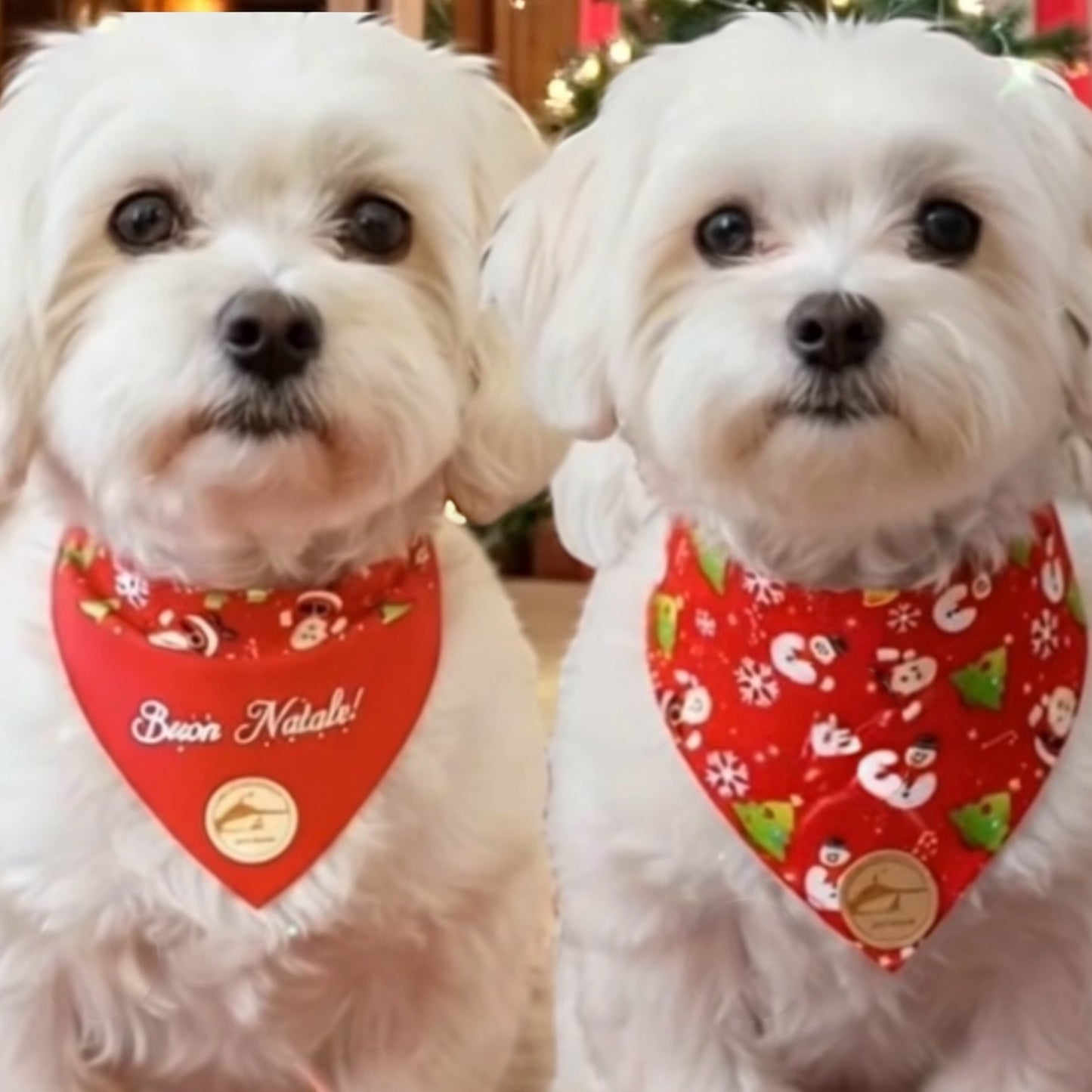 Bandana natalizia double-face rossa per cani