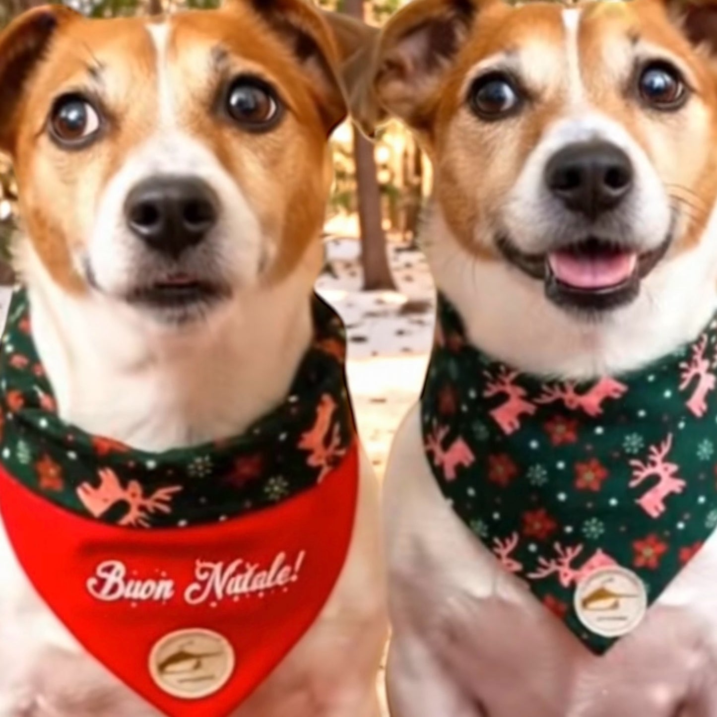 Bandana double-face natalizia per cani