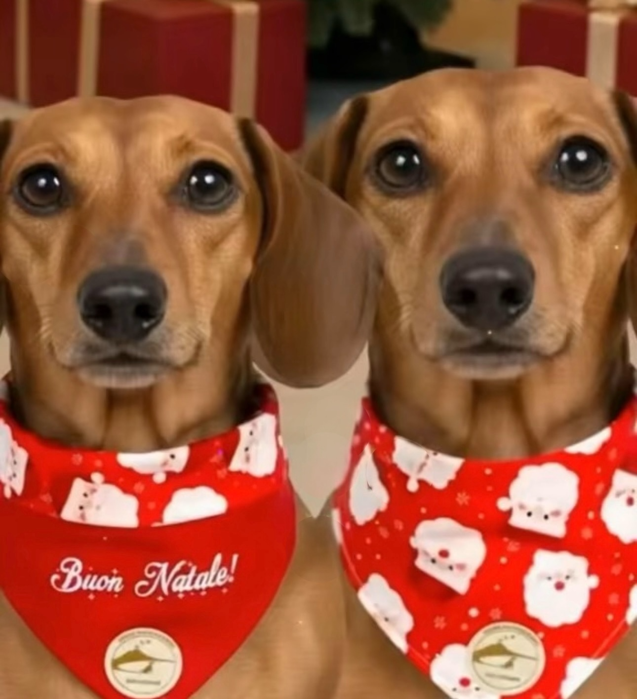 Bandana natalizia double-face rossa per cani