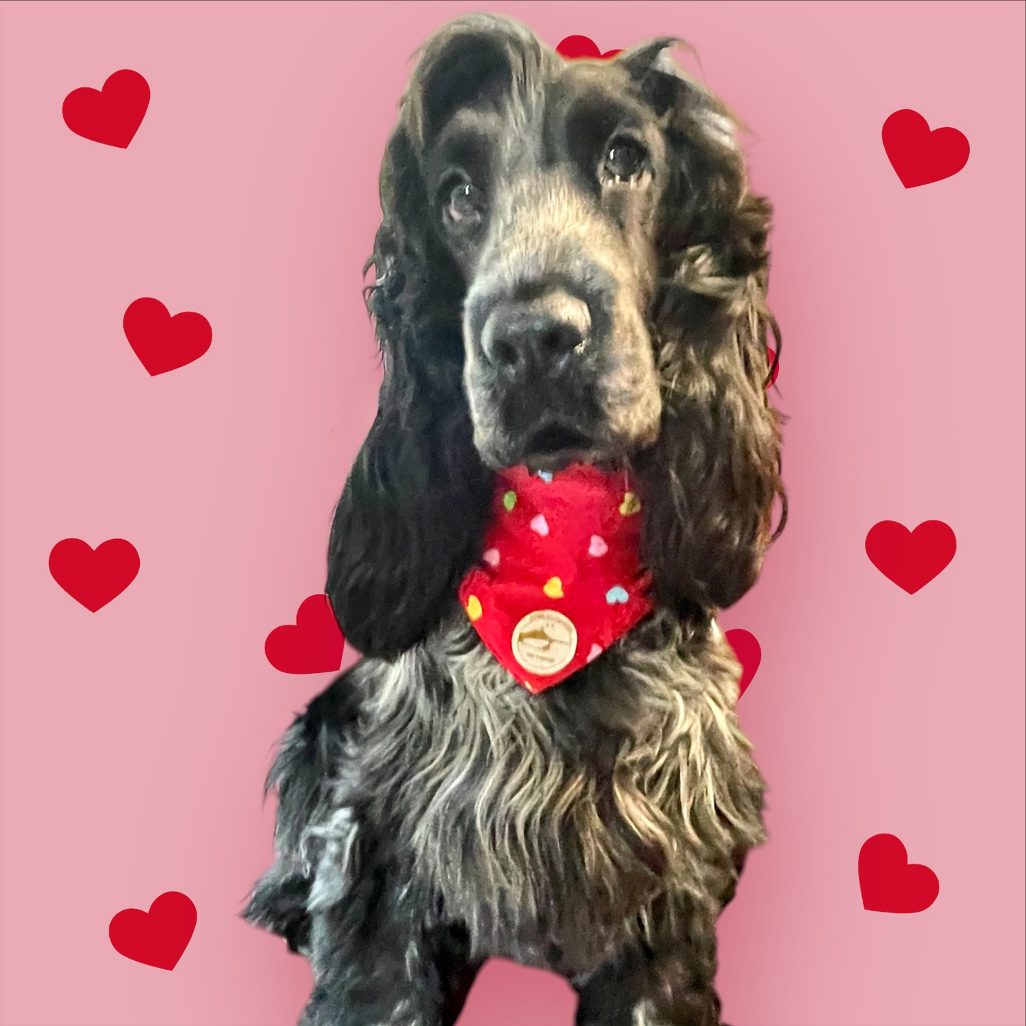 Bandana Cane "Abbracciame" Ricamata: Sartoriale Double-Face a Collare in Puro Cotone