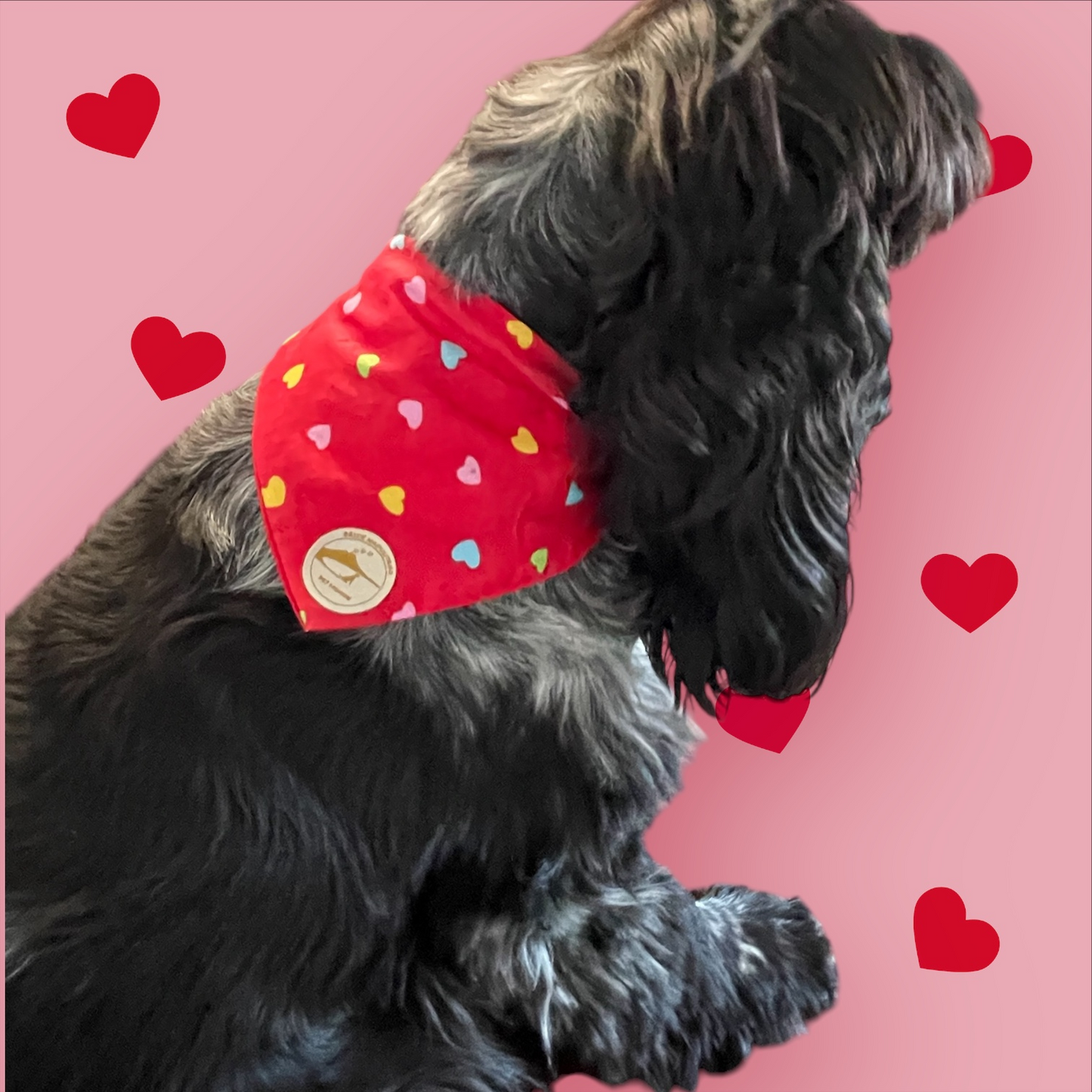 Bandana Cane "Ammore Mij" Ricamata: Sartoriale Double-Face con Elastico in Puro Cotone