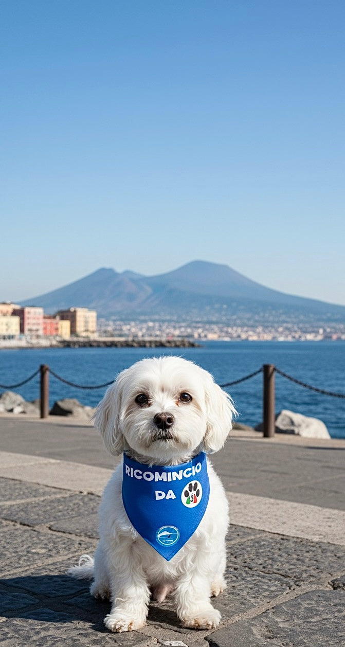 Bandane per Cani “Ricomincio da 3” - 100% Cotone