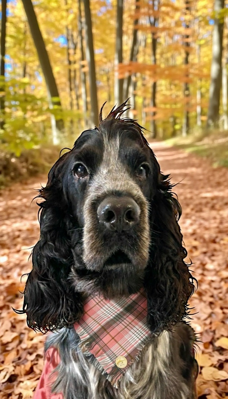 Bandana Cane tartan Invernale Morbida e Calda - Sfrangiata (Rosa/Grigio/Beige)