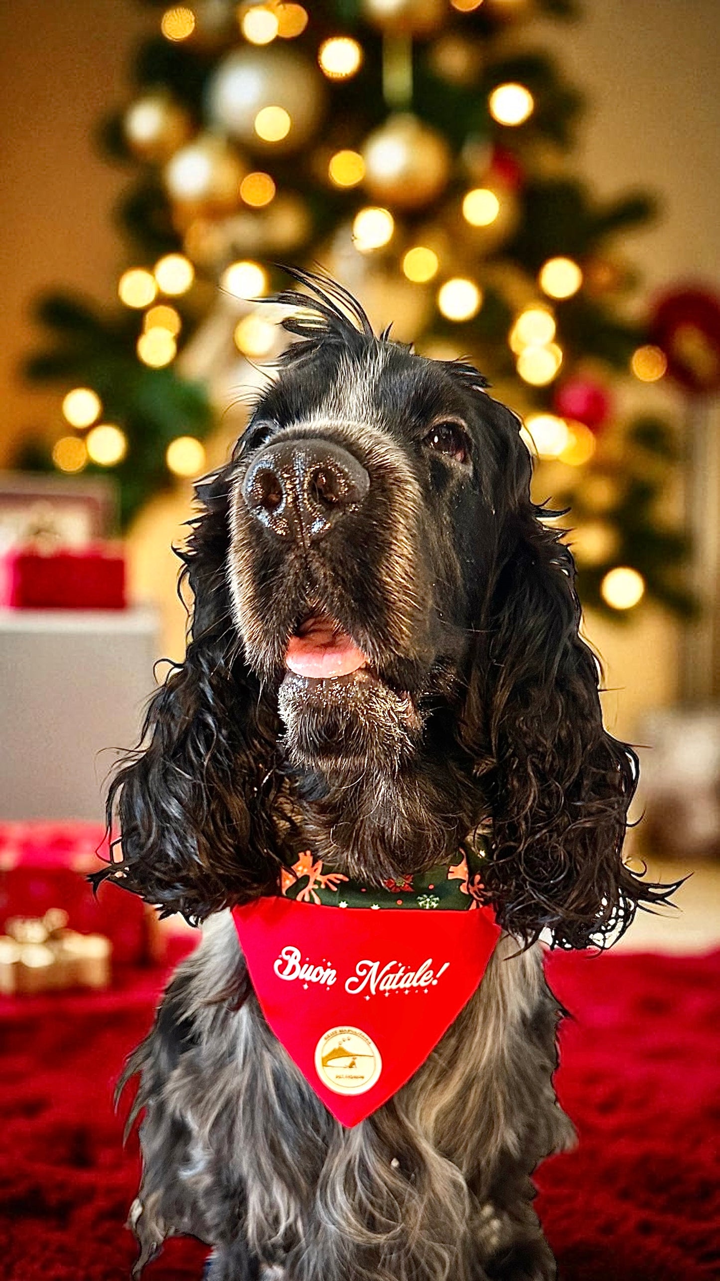 Bandana Natalizia sartoriale double-face per cani rossa e tessuto fantasia verde con renne con scritta “Buon Natale!” stampata