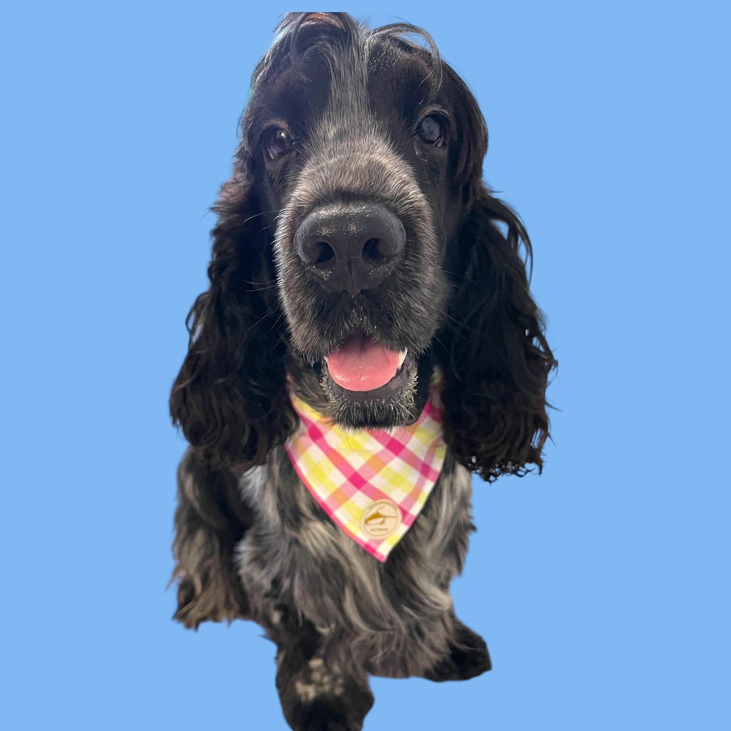 Bandana per Cani Sartoriale Rosa, giallo e bianco a Quadretti in Cotone