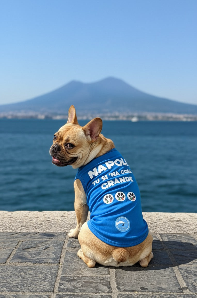 Maglia calcio Napoli 3 scudetto per cani