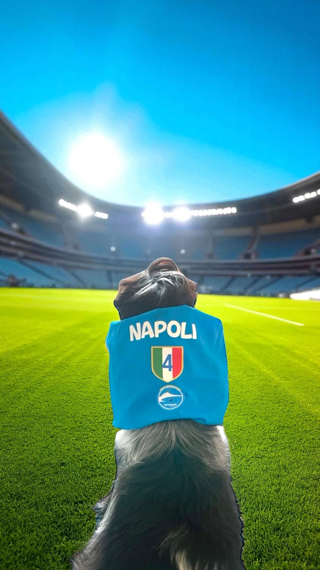 Snood Cocker Napoli 4° Scudetto: Protezione in Puro Cotone per Orecchie Lunghe