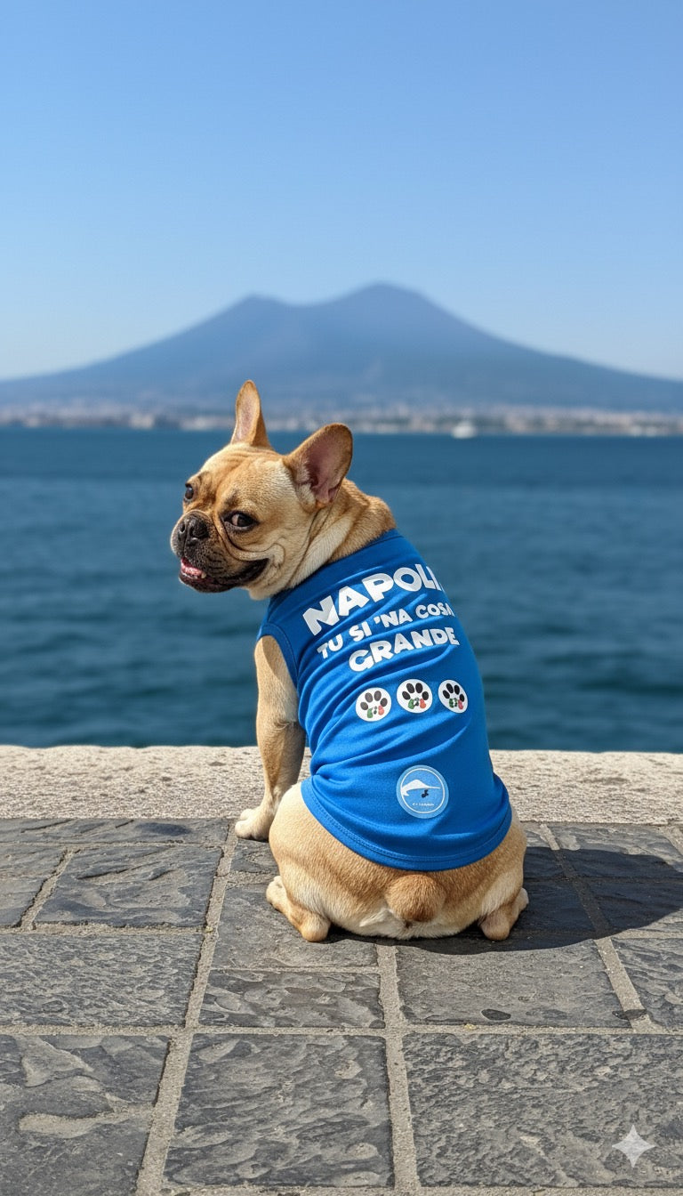 Magliette Cane Morbidissime "Napoli tu si ‘na cosa grande" - Abbigliamento Tifoso Napoli