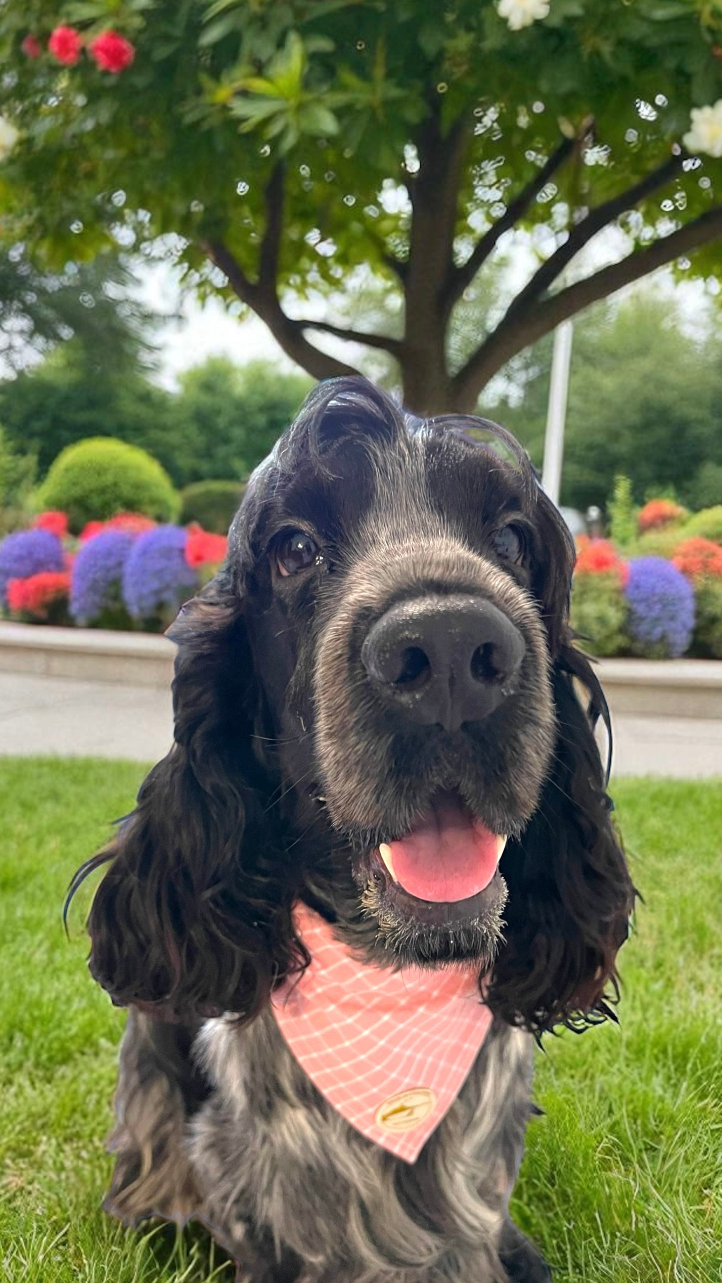 Bandana per Cani Sartoriale Rosa a Quadretti in Cotone