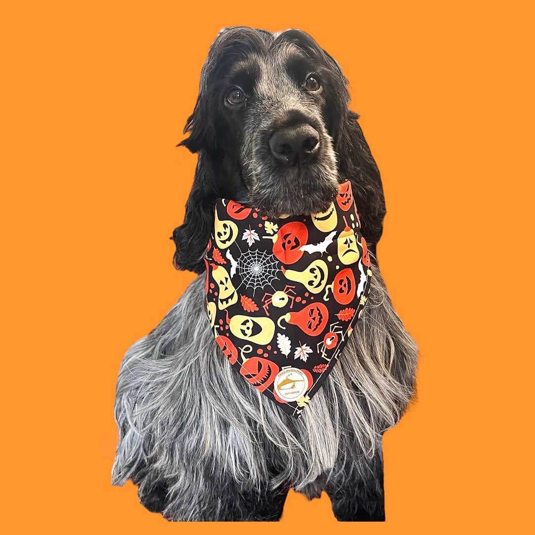 Bandana Halloween per cani nera con zucche, ragnatele e pipistrelli