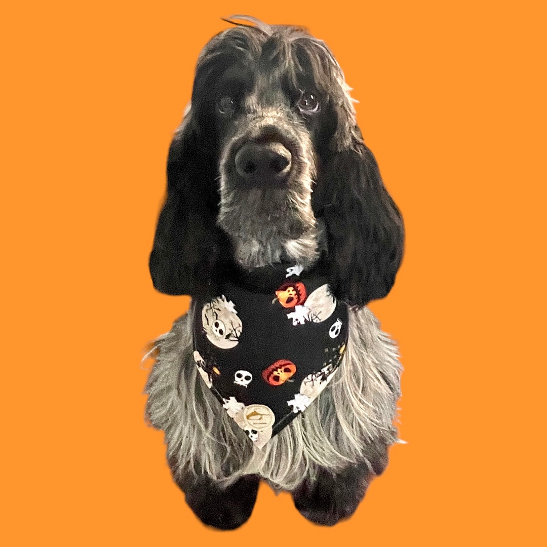 Bandana Halloween per cani nera con zucche, luna e castello