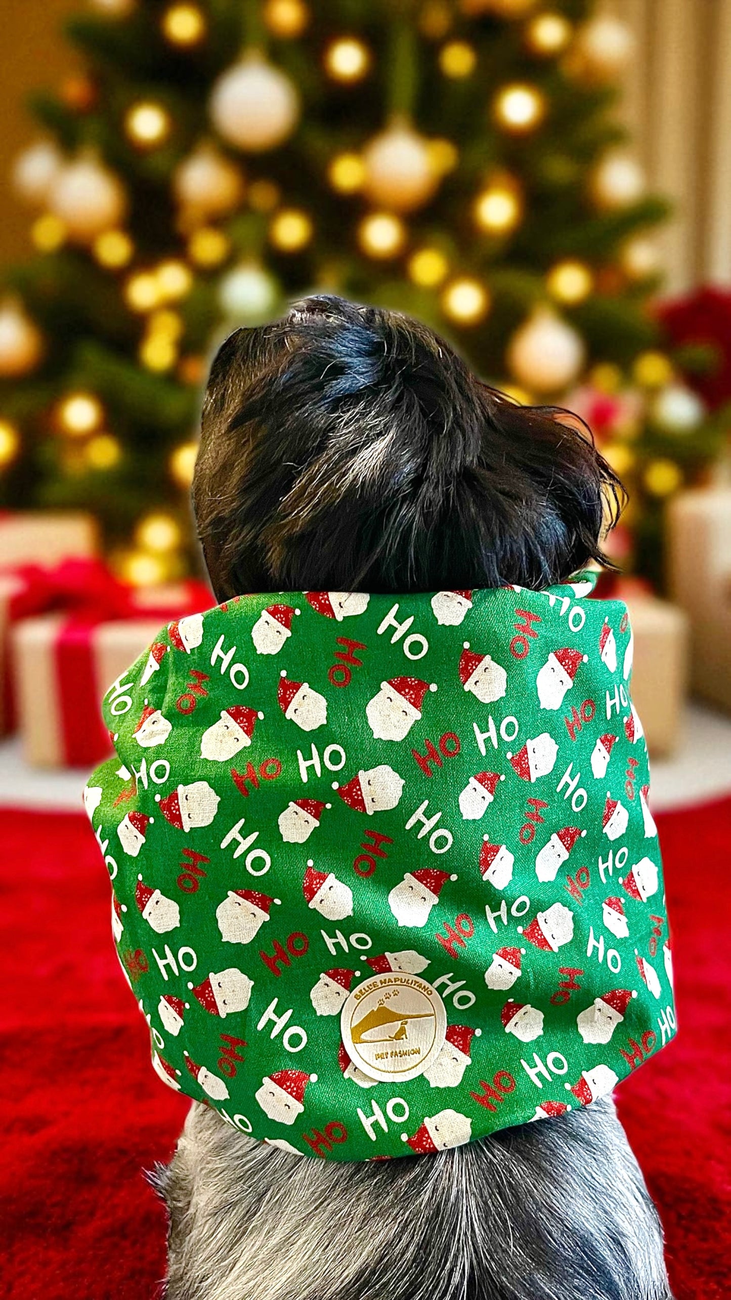 Snood sartoriale natalizio verde con Babbi Natale per cocker