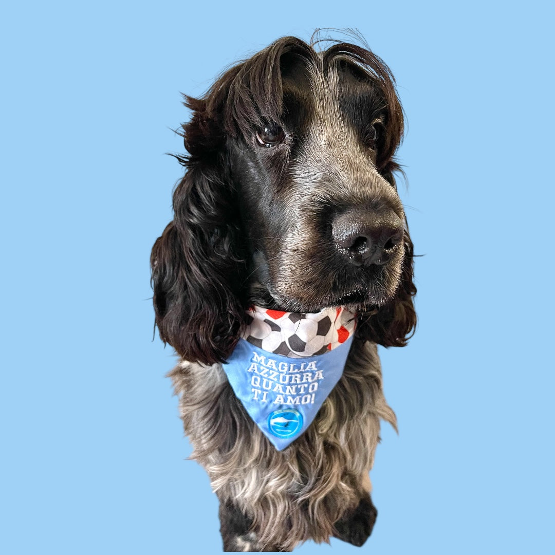 Bandana sartoriale double-face a collare per cani con scritta ricamata “Maglia azzurra quanto ti amo!”