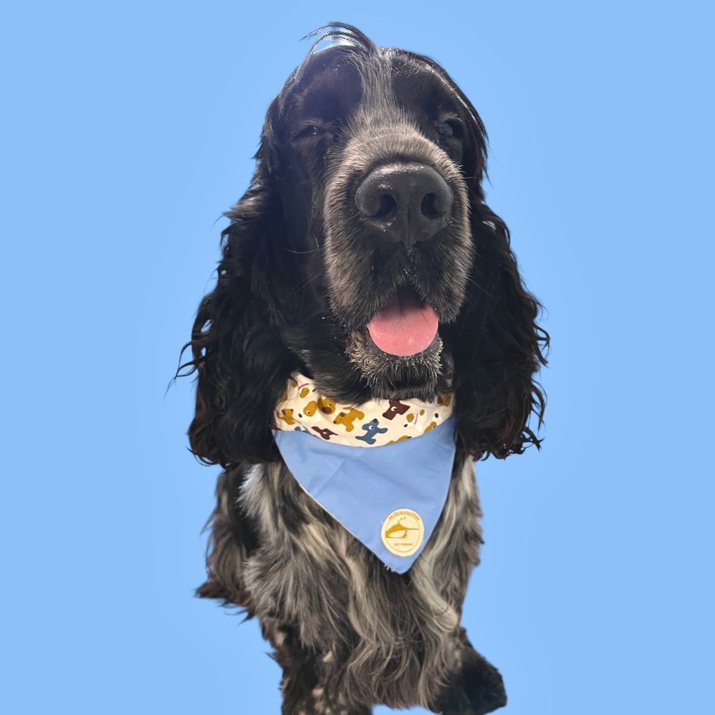 Bandana per Cani azzurra con fantasia di cagnolini multicolor, Double-Face e Personalizzata