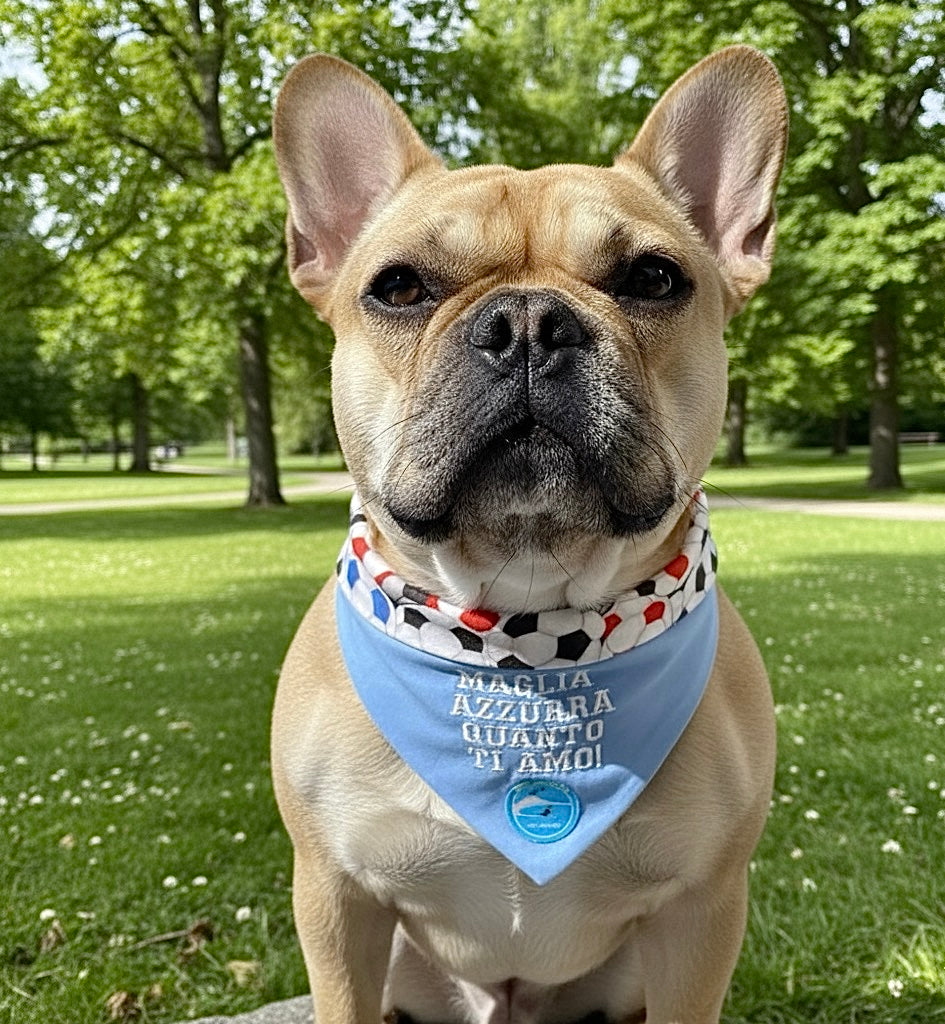 Bandana sartoriale double-face con elastico per cani con scritta ricamata “Maglia azzurra quanto ti amo!”