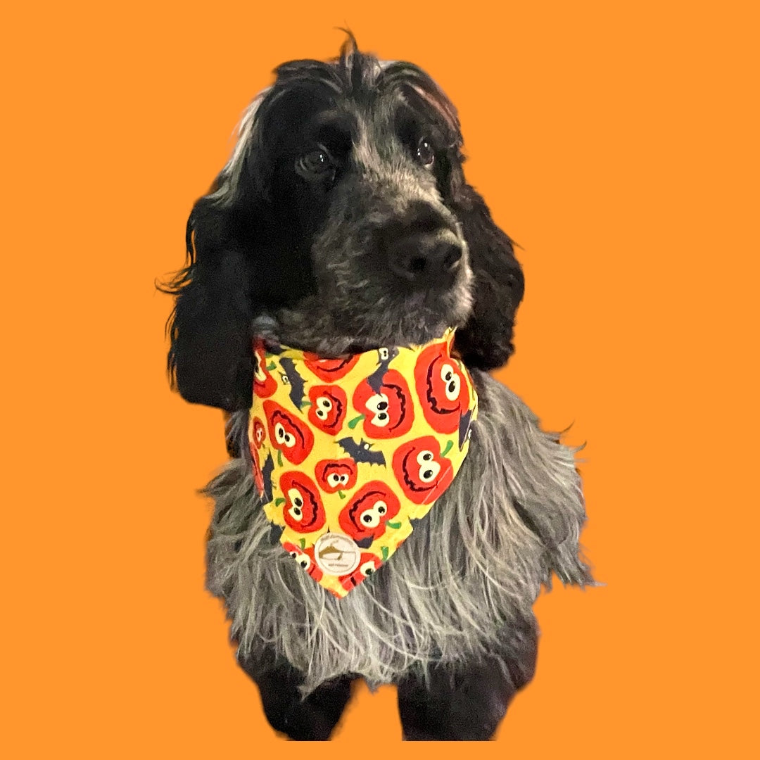 Bandana Halloween per cani gialla con zucche e pipistrelli