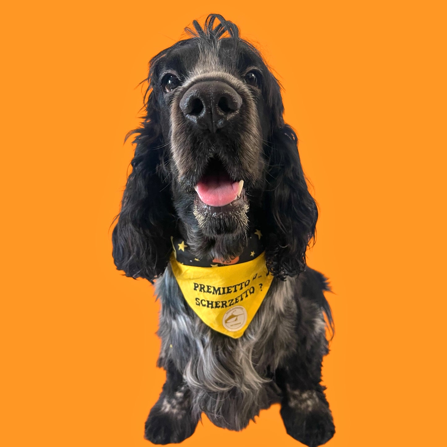 Bandana Cane Double-Face Halloween: Zucche, Fantasmini & "Premietto o Scherzetto"