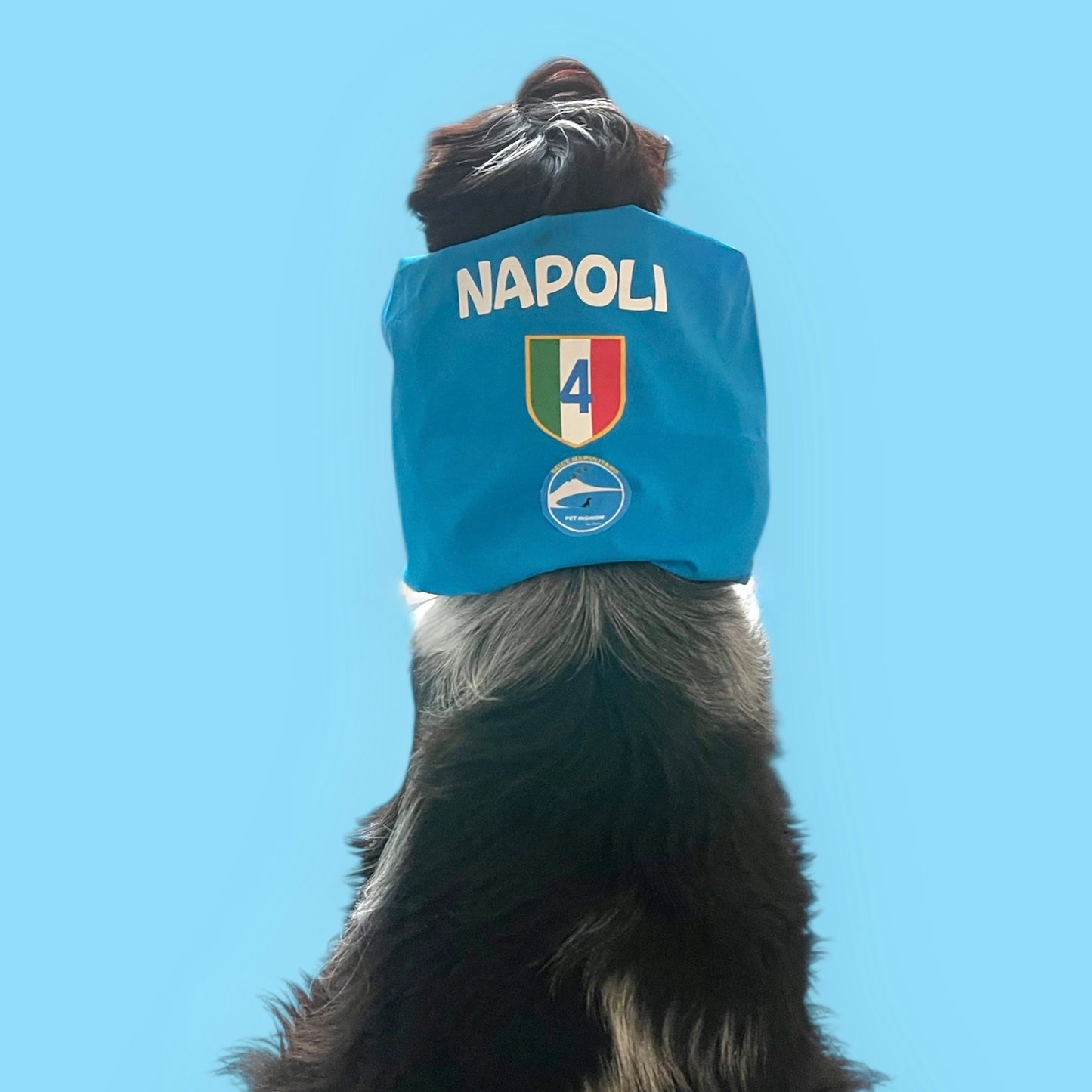 Snood Cocker Napoli 4° Scudetto: Protezione in Puro Cotone per Orecchie Lunghe