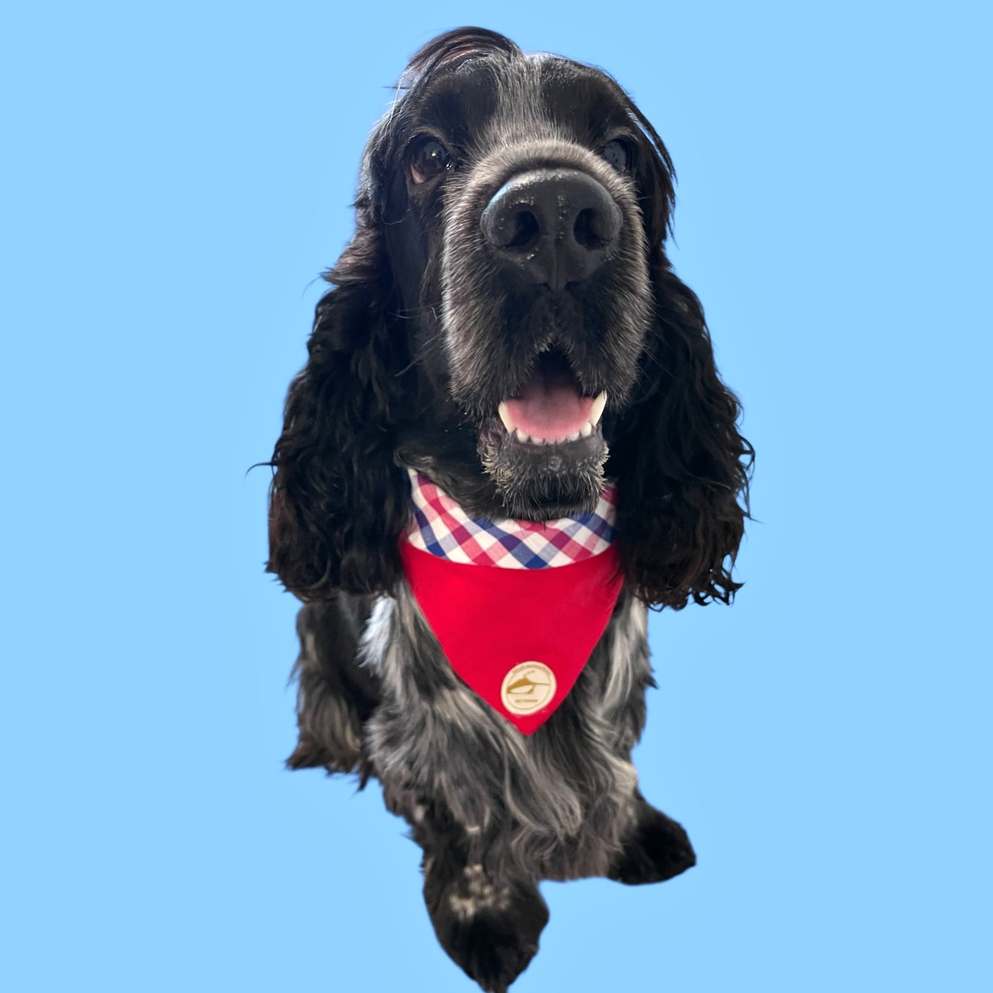 Bandana per Cani rossa a Quadretti bianco, rosso e blu Double-Face e Personalizzata