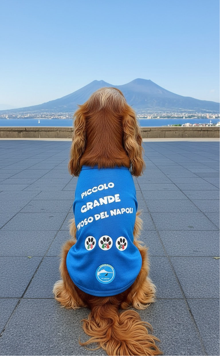 Maglia calcio Napoli 3 scudetto per cani 