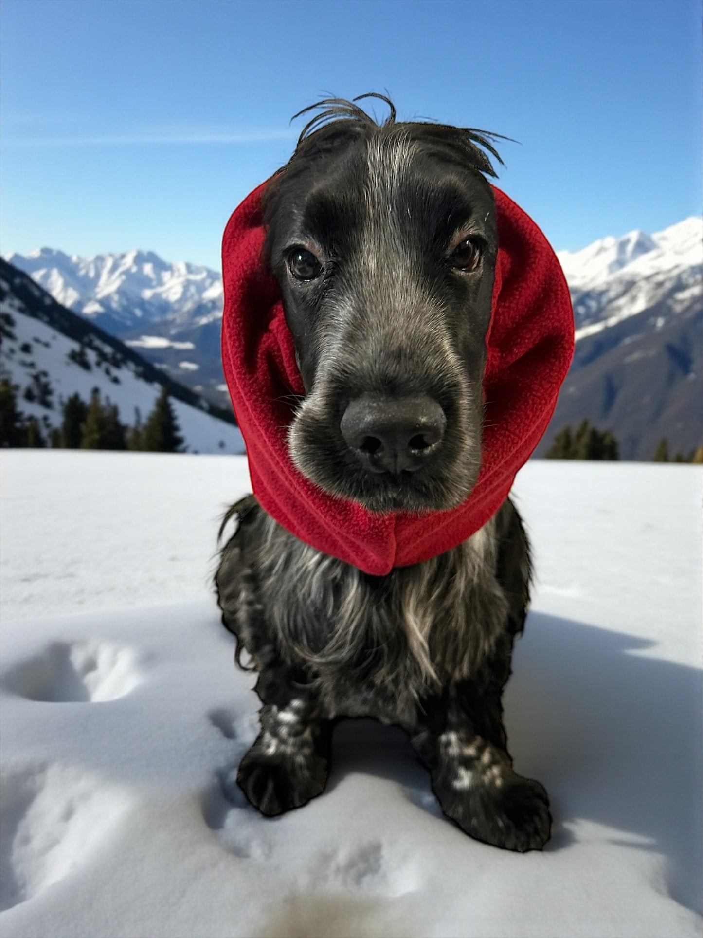Snood cane in Pile personalizzabile / copri orecchie caldo invernale color bordeaux