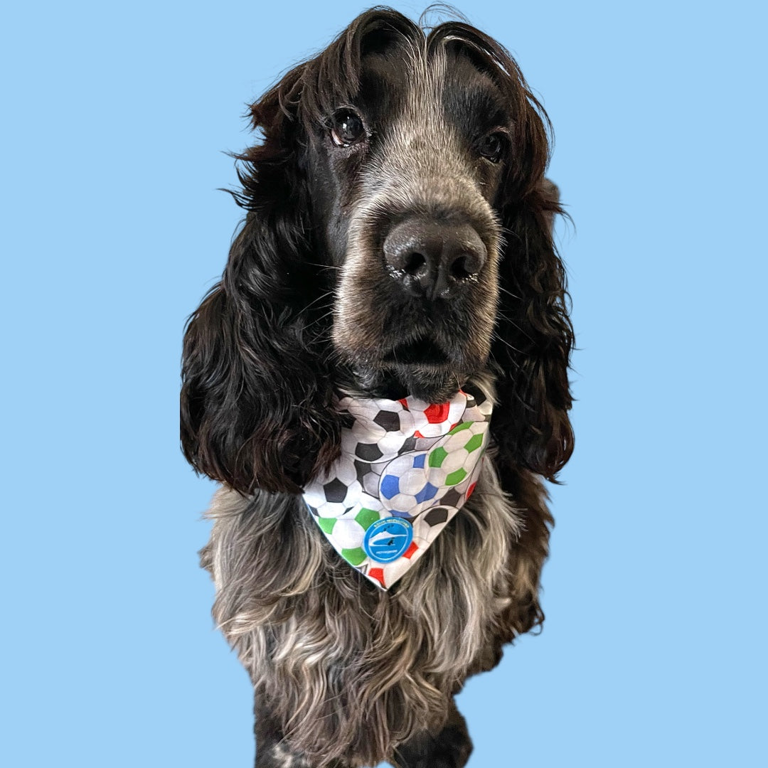 Bandana sartoriale double-face con elastico per cani con scritta ricamata “Maglia azzurra quanto ti amo!”
